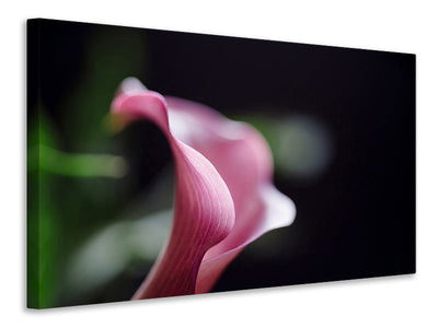 Canvastaulu Calla in purple