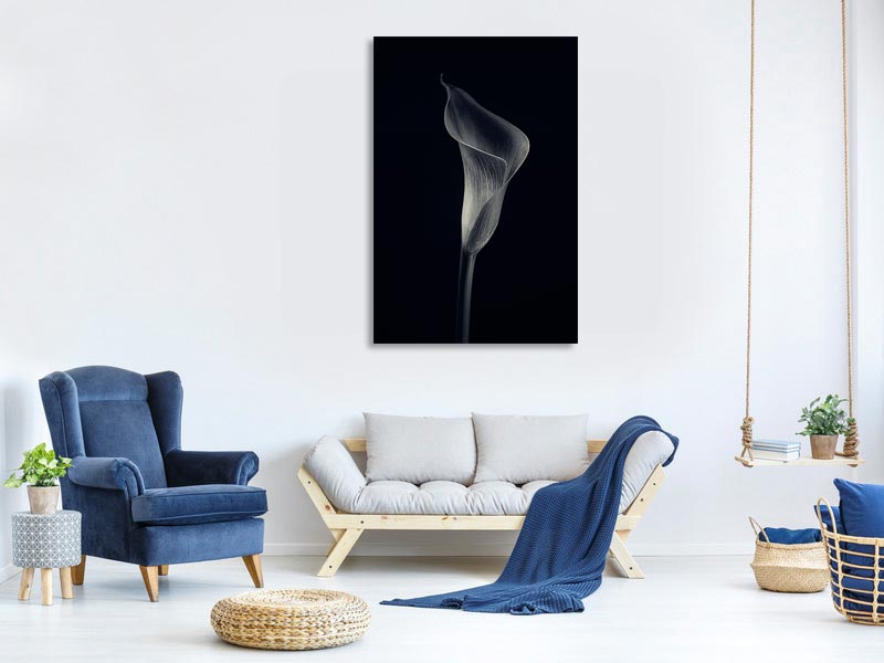 canvas-print-calla-lily-x