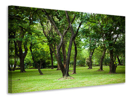 canvas-print-cherry-garden