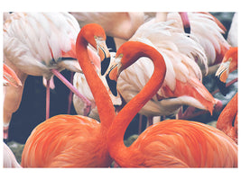 canvas-print-colorful-flamingos