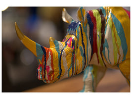 canvas-print-colorful-rino