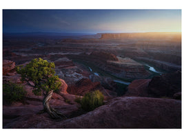 canvas-print-deadhorse-land