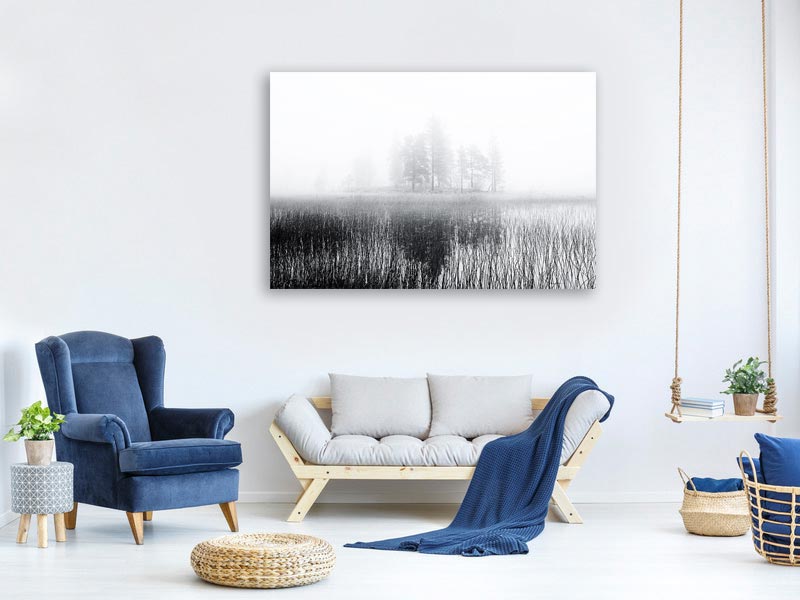 canvas-print-deep-bog-x