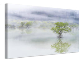 canvas-print-dreamy-tree-x