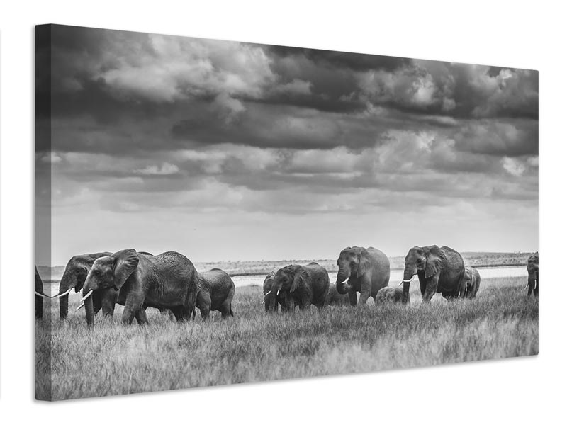 canvas-print-elephant-family-xip