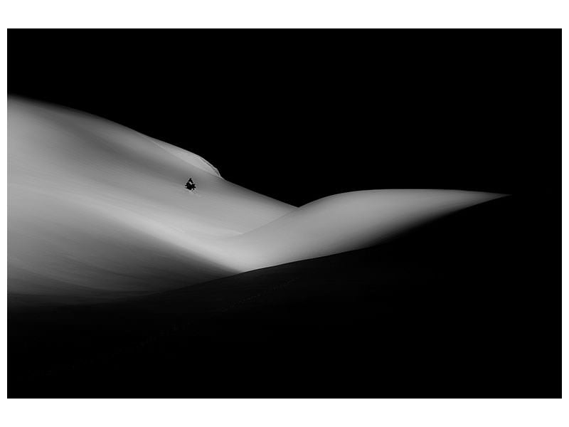 canvas-print-elephant-sleeping-a-white-dream