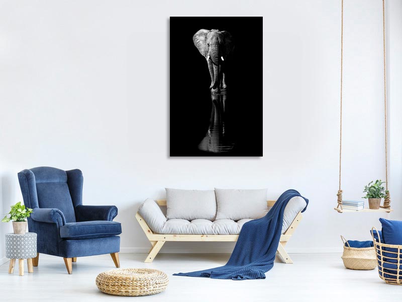 canvas-print-elephant-xsa