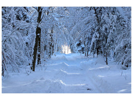 canvas-print-finally-winter