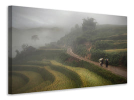 canvas-print-fog