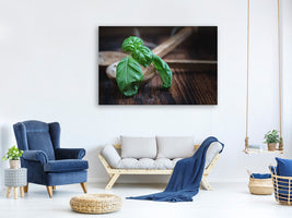 canvas-print-fresh-basil-xl