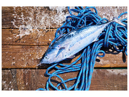 canvas-print-freshly-caught-fish