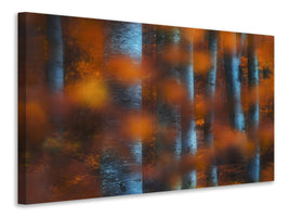 canvas-print-hidden-forest