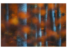 canvas-print-hidden-forest