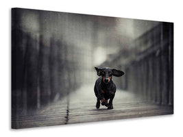 canvas-print-length-too-long-iii