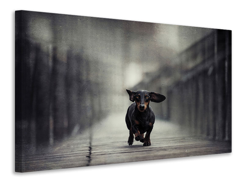 canvas-print-length-too-long-iii