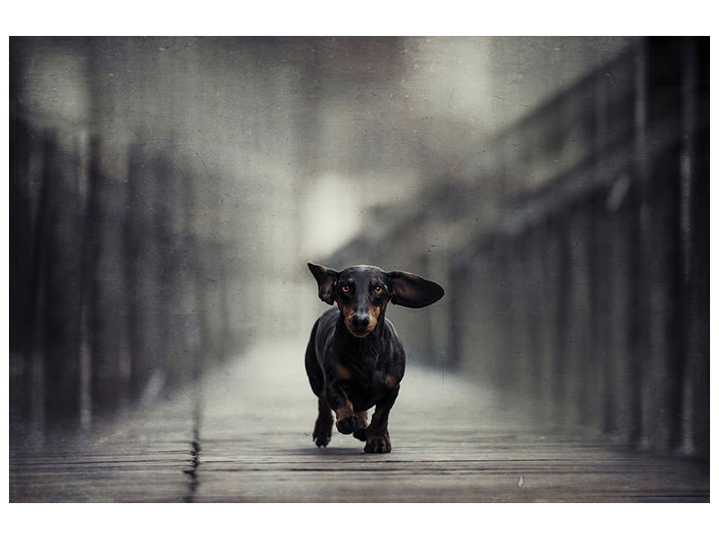 canvas-print-length-too-long-iii