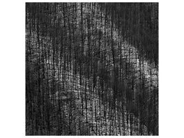 canvas-print-luci-e-ombre