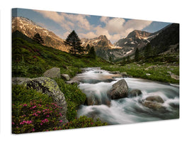 canvas-print-maritime-alps-park-x