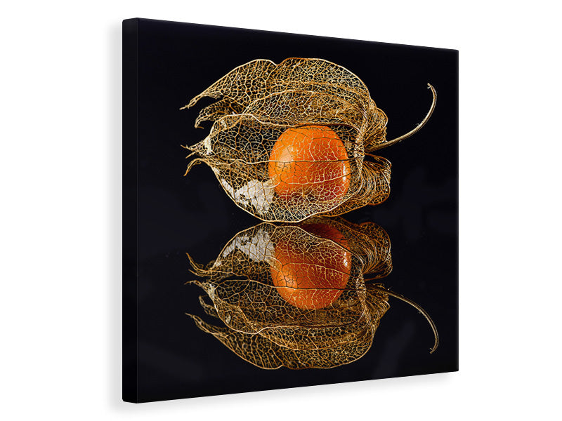 canvas-print-physalis