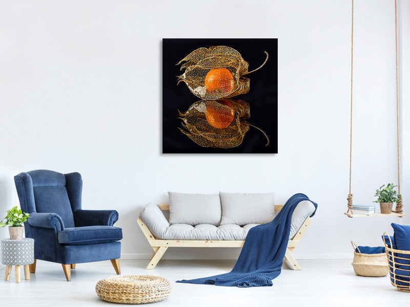 canvas-print-physalis