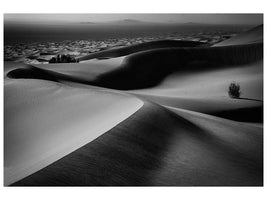 canvas-print-qviewq-x