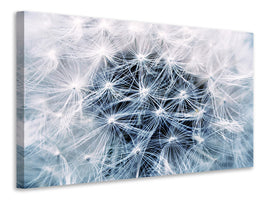 canvas-print-ripe-dandelion-close-up