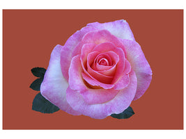 canvas-print-rose-in-pink-xxl