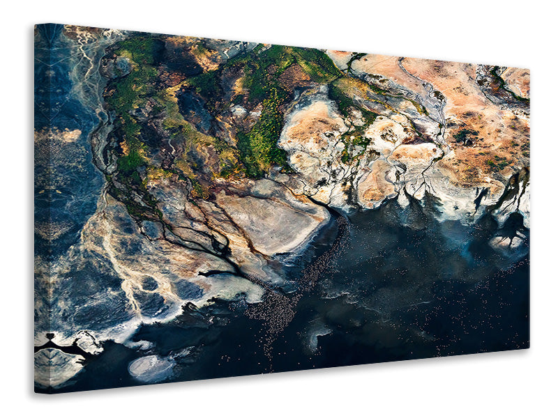 canvas-print-splendid-africa