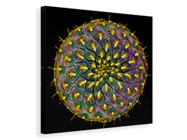 canvas-print-sulcorebutia-rauschii