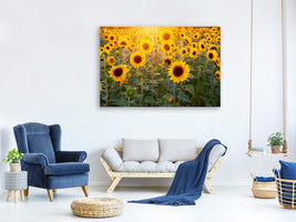 canvas-print-sunflower-field