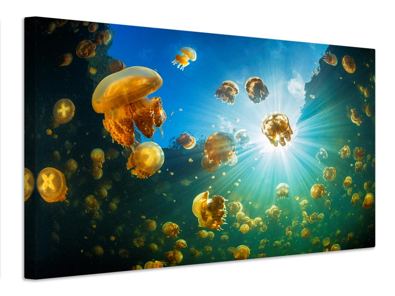 canvas-print-sunlight-and-jellyfish-x