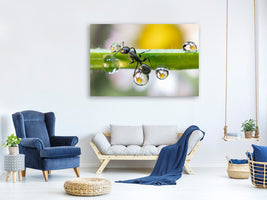 canvas-print-the-ant-between-the-drops