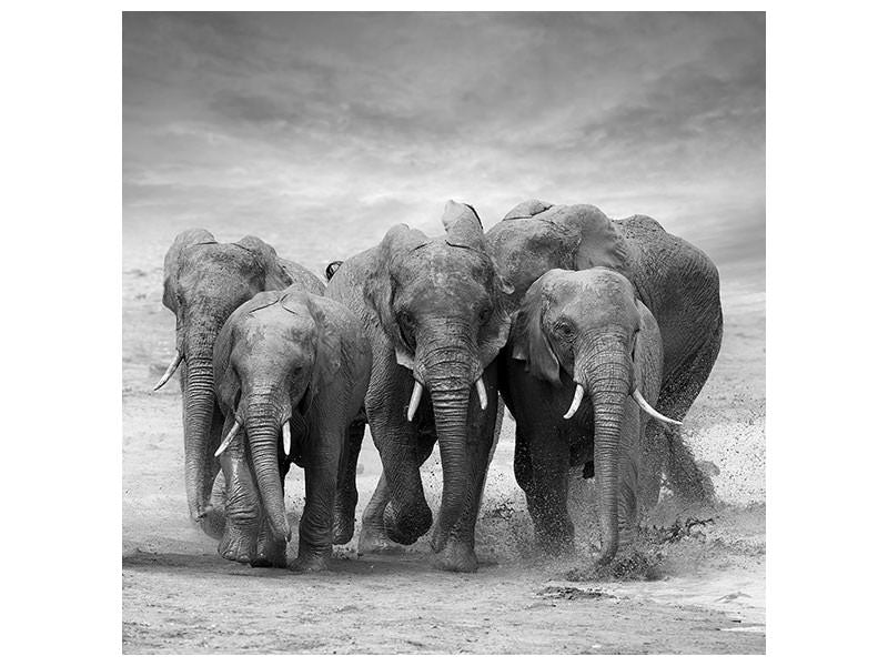 canvas-print-the-elephants