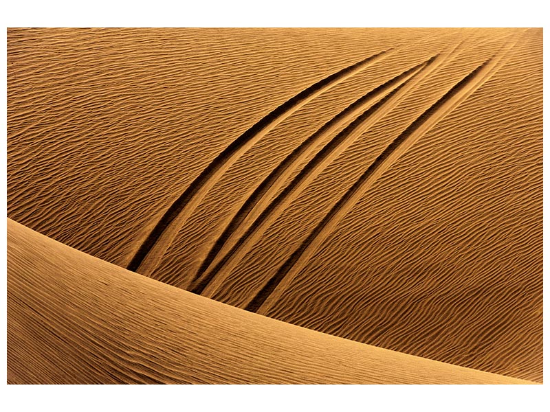 canvas-print-the-epoch-of-man-x