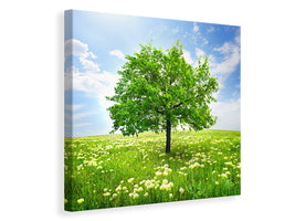 canvas-print-the-tree