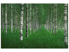 canvas-print-the-tunnel