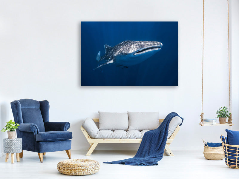 canvas-print-whale-shark