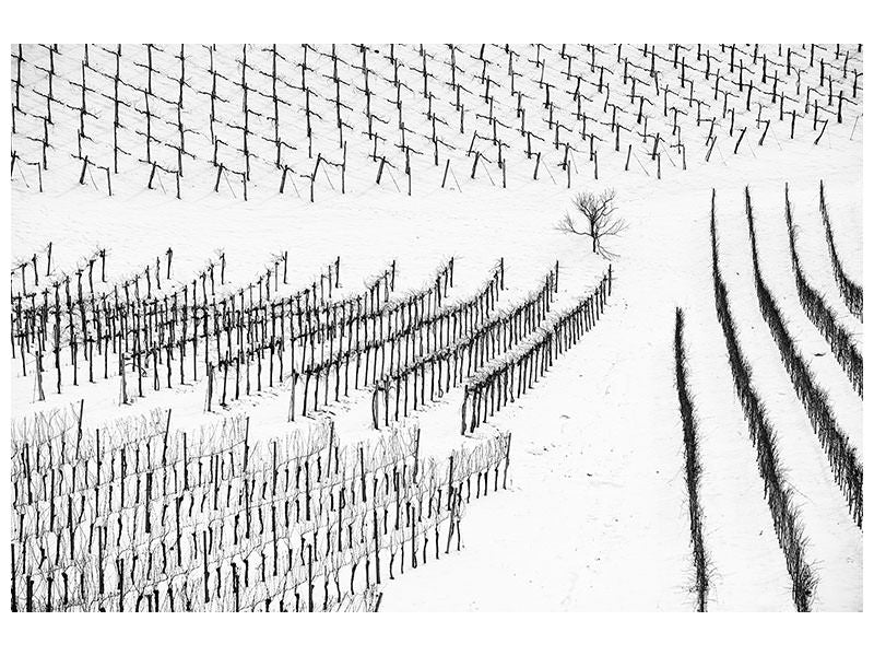canvas-print-winter-lines