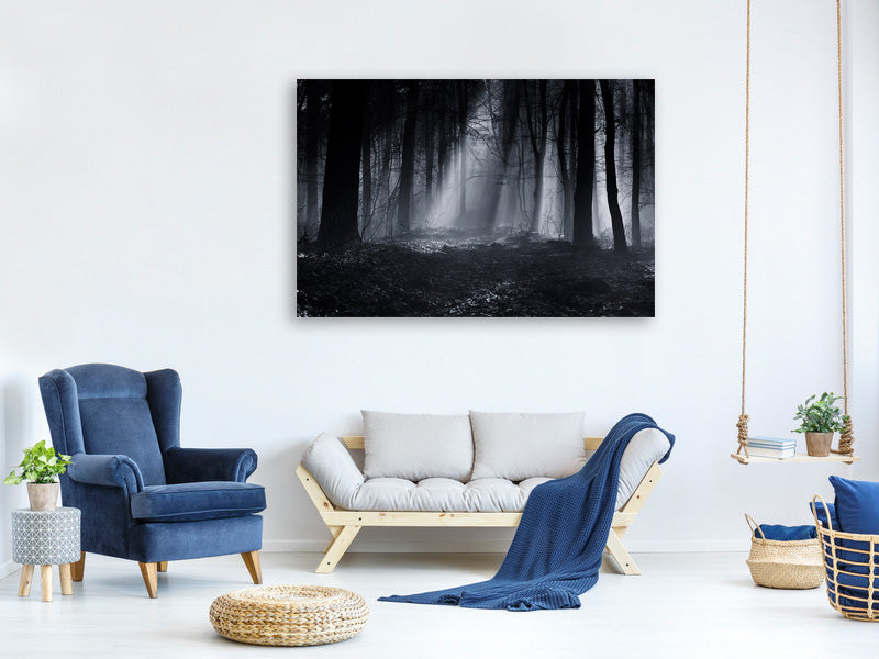 5-piece-canvas-print-capela-forest