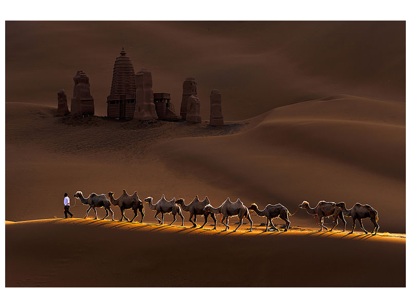 5-piece-canvas-print-castle-and-camels