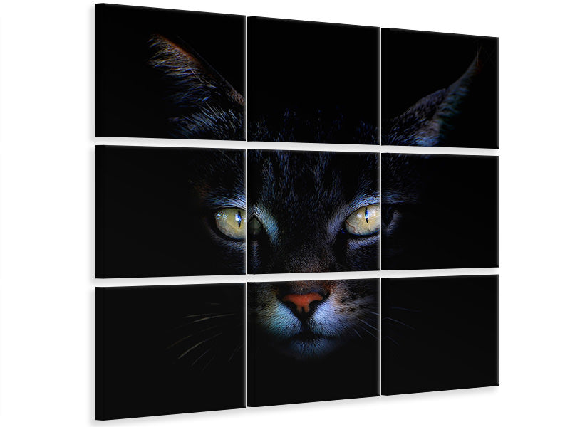 canvas-print-cat