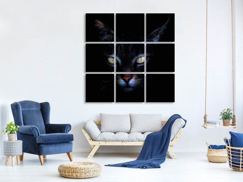 canvas-print-cat
