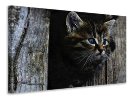3-piece-canvas-print-cats-child