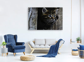 panoramic-canvas-print-cats-child