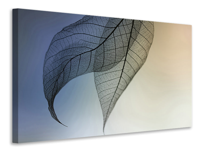 4-piece-canvas-print-cavatina