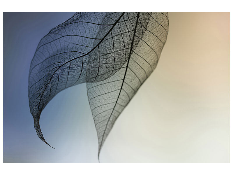 panoramic-3-piece-canvas-print-cavatina