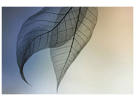 5-piece-canvas-print-cavatina