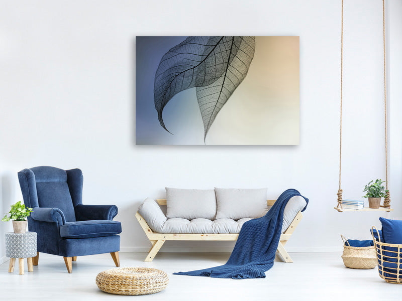 panoramic-canvas-print-cavatina