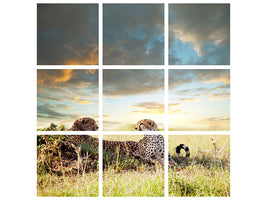 4-piece-canvas-print-cheetahs