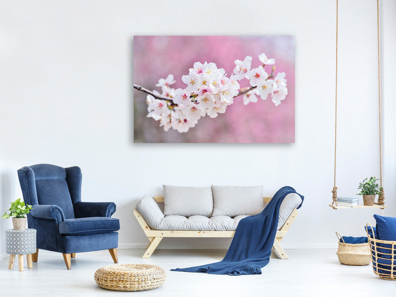 modern-3-piece-canvas-print-cherry-blossoms-xxl